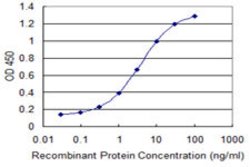 SLC6A11, Mouse anti-Human, Clone: 2C3, Abnova 100&mu;g; Unconjugated:Antibodies,