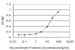 SMO, Mouse anti-Human, Clone: 3G8, Abnova 100&mu;g; Unconjugated:Antibodies,
