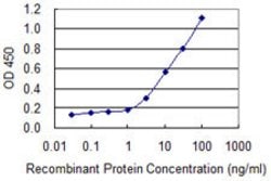 SNTB2, Mouse anti-Human, Clone: 3F12, Abnova 100&mu;g; Unconjugated:Antibodies,