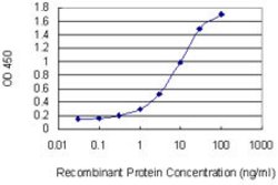 SOS1, Mouse anti-Human, Clone: 4C1, Abnova 100&mu;g; Unconjugated:Antibodies,