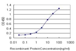 SPP1, Mouse anti-Human, Clone: 1D4, Abnova 100&mu;g; Unconjugated:Antibodies,