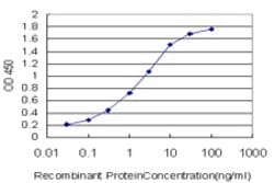 SRF, Mouse anti-Human, Clone: 2G2, Abnova 100&mu;g; Unconjugated:Antibodies,