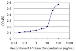 SRM, Mouse anti-Human, Clone: 2C1, Abnova 100&mu;g; Unconjugated:Antibodies,