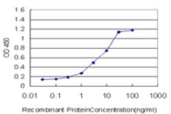 STAT5B, Mouse anti-Human, Clone: 1C2, Abnova 100&mu;g; Unconjugated:Antibodies,