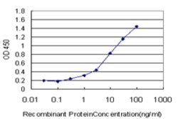 STXBP1, Mouse anti-Human, Clone: 6D1, Abnova 100&mu;g; Unconjugated:Antibodies,