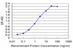 T, Mouse anti-Human, Clone: 5C10, Abnova 100 &mu;g | Buy Online | Abnova | Fisher Scientific