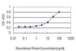 TAP1, Mouse anti-Human, Clone: 2B4, Abnova 100&mu;g; Unconjugated:Antibodies,