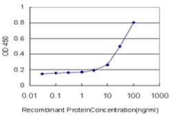 TAZ, Mouse anti-Human, Clone: 3C10, Abnova 100 &mu;g | Buy Online | Abnova | Fisher Scientific