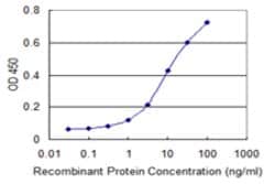 TBCA, Mouse anti-Human, Clone: 1D2, Abnova 100&mu;g; Unconjugated:Anticuerpos