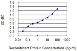 HNF1A, Mouse anti-Human, Clone: 6G4, Abnova 100&mu;g; Unconjugated:Antibodies,