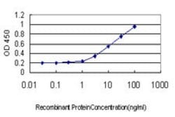 TEK, Mouse anti-Human, Clone: 2D7, Abnova 100&mu;g; Unconjugated:Antibodies,