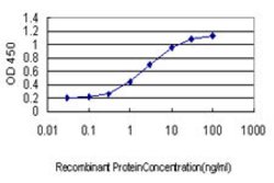TNP1, Mouse anti-Human, Clone: 1B5, Abnova 100&mu;g; Unconjugated:Antibodies,