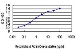 TTN, Mouse anti-Human, Clone: 6H5, Abnova 100&mu;g; Unconjugated:Anticuerpos