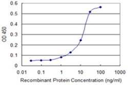COL14A1, Mouse anti-Human, Clone: 5F3, Abnova 100&mu;g; Unconjugated:Antibodies,