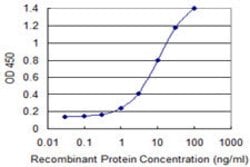 ZNF23, Mouse anti-Human, Clone: 2D3, Abnova 100&mu;g; Unconjugated:Antibodies,