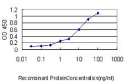 ZNF143, Mouse anti-Human, Clone: 2B4, Abnova 100&mu;g; Unconjugated:Antibodies,