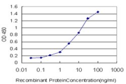 ZNF174, Mouse anti-Human, Clone: 2D7-E9, Abnova 100&mu;g; Unconjugated:Antibodies,