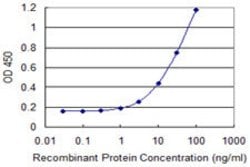 ZNF193, Mouse anti-Human, Clone: 3G6, Abnova 100&mu;g; Unconjugated:Antibodies,