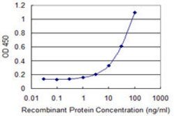 ZNF232, Mouse anti-Human, Clone: 1F8, Abnova 100&mu;g; Unconjugated:Antibodies,