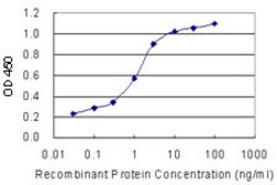 TFEB, Mouse anti-Human, Clone: S2, Abnova 100&mu;g; Unconjugated:Antibodies,