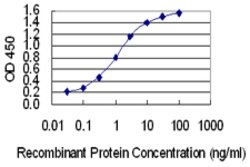 JTV1, Mouse anti-Human, Clone: 8E7, Abnova 100&mu;g; Unconjugated:Anticuerpos