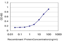TCL1A, Mouse anti-Human, Clone: 2F1, Abnova 100&mu;g; Unconjugated:Anticuerpos