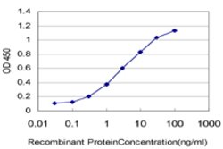 CGGBP1, Mouse anti-Human, Clone: 1D11, Abnova 100&mu;g; Unconjugated:Antibodies,