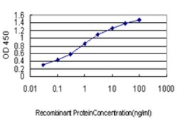 BHLHE40, Mouse anti-Human, Clone: 5B1, Abnova 100&mu;g; Unconjugated:Anticuerpos