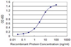 TMEFF1, Mouse anti-Human, Clone: 1B1, Abnova 100&mu;g; Unconjugated:Antibodies,