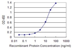 STX16, Mouse anti-Human, Clone: 3D12, Abnova 100&mu;g; Unconjugated:Antibodies,