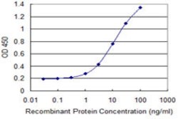 SFRS9, Mouse anti-Human, Clone: 1G7, Abnova 100&mu;g; Unconjugated:Antibodies,