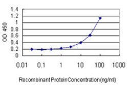 RNMT, Mouse anti-Human, Clone: 3H3-1D12, Abnova 100&mu;g; Unconjugated:Antibodies,