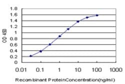 FADD, Mouse anti-Human, Clone: 3A12, Abnova 100&mu;g; Unconjugated:Antibodies