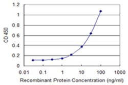 INPP4B, Mouse anti-Human, Clone: 3F2, Abnova 100&mu;g; Unconjugated:Antibodies,