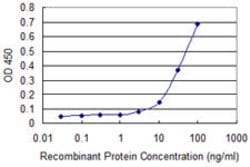 KAT2B, Mouse anti-Human, Clone: 5E10, Abnova 100&mu;g; Unconjugated:Antibodies,
