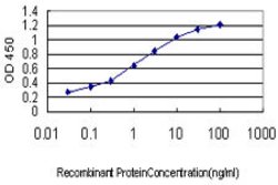 FUBP1, Mouse anti-Human, Clone: 3H4, Abnova 100&mu;g; Unconjugated:Antibodies,