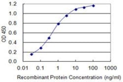 NOL3, Mouse anti-Human, Clone: 3A9, Abnova 100&mu;g; Unconjugated:Antibodies,