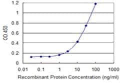 CLDN12, Mouse anti-Human, Clone: 2D8, Abnova 100&mu;g; Unconjugated:Antibodies,