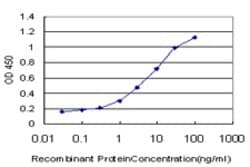 KCNQ4, Mouse anti-Human, Clone: 2H6, Abnova 100&mu;g; Unconjugated:Antibodies,
