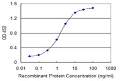 DYRK1B, Mouse anti-Human, Clone: 2E8, Abnova 100&mu;g; Unconjugated:Antibodies,