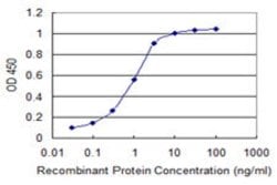 SLC33A1, Mouse anti-Human, Clone: 3A4, Abnova 100&mu;g; Unconjugated:Anticorps,