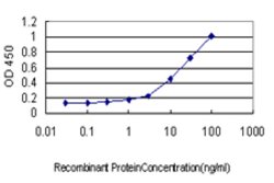 SCYE1, Mouse anti-Human, Clone: M1, Abnova 100&mu;g; Unconjugated:Anticuerpos