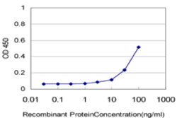 GLP2R, Mouse anti-Human, Clone: 1F2, Abnova 100&mu;g; Unconjugated:Antibodies,