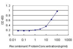 NDST3, Mouse anti-Human, Clone: 5B9, Abnova 100&mu;g; Unconjugated:Antibodies,