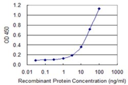 NAPSA, Mouse anti-Human, Clone: 2B1, Abnova 100&mu;g; Unconjugated:Antibodies,