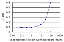 MAD2L1BP, Mouse anti-Human, Clone: 4G11, Abnova 100&mu;g; Unconjugated:Antibodies,