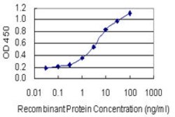 DAZAP2, Mouse anti-Human, Clone: 8G5, Abnova 100&mu;g; Unconjugated:Antibodies,