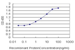 ARHGEF11, Mouse anti-Human, Clone: 2F4, Abnova 100&mu;g; Unconjugated:Antibodies,