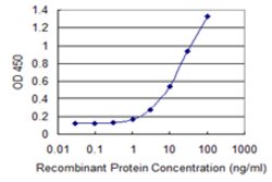 OXSR1, Mouse anti-Human, Clone: 1B10, Abnova 100&mu;g; Unconjugated:Antibodies,