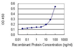 BCL2L11, Mouse anti-Human, Clone: 2F10, Abnova 100&mu;g; Unconjugated:Antibodies,